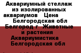 Аквариумный стеллаж из изолированных аквариумов › Цена ­ 22 000 - Белгородская обл., Белгород г. Животные и растения » Аквариумистика   . Белгородская обл.